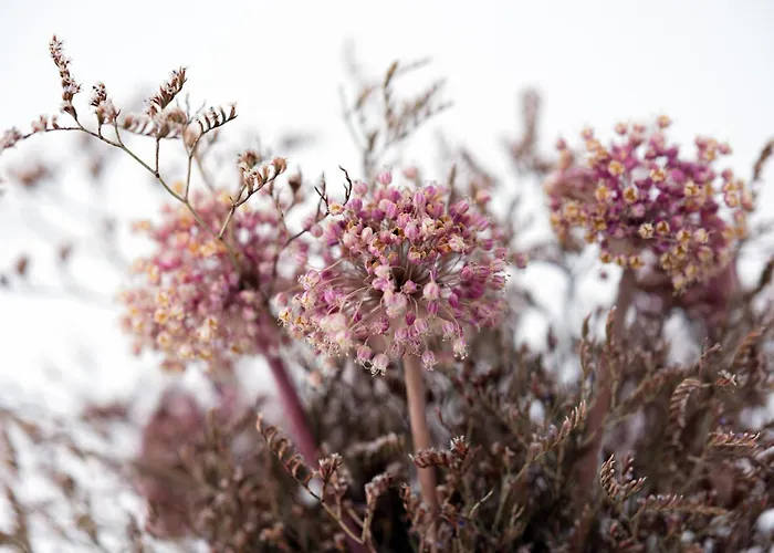 Casa Dorotea 아파트 *